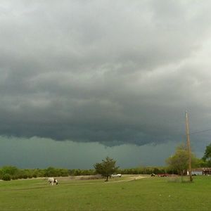 Meet your Posher, Lesa